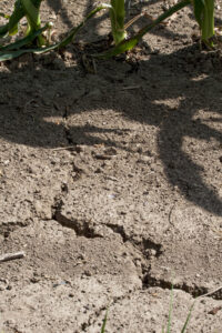 Justice declares state of emergency for all 55 counties due to drought conditions